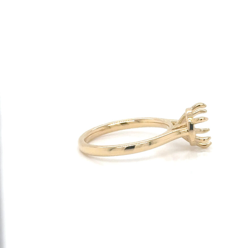 SR3D2770 Mount__2024-05-17-14-52-20-3